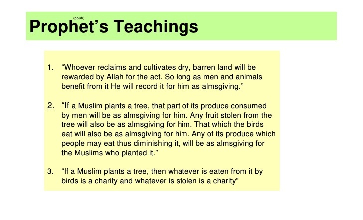 islam-and-the-environment-13-728